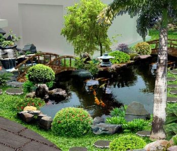 Tiểu cảnh sân vườn kết hợp với hồ nước
