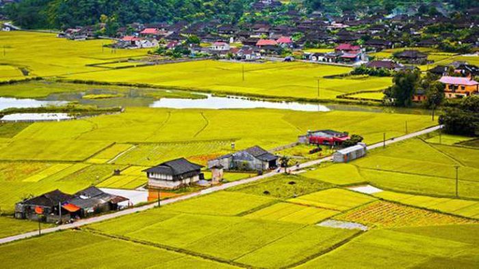 Không được xây dựng nhà ở trên đất nông nghiệp