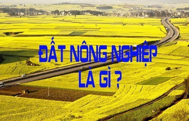 Khái niệm về đất nông nghiệp đã được quy định rõ ràng trong bộ luật đất đai 2013