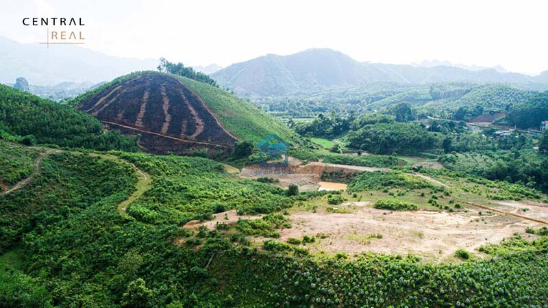 Đất rừng sản xuất có được xây dựng nhà không?