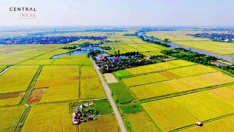 Đất dùng cho hoạt động để kinh doanh và khai thác khoáng sản.