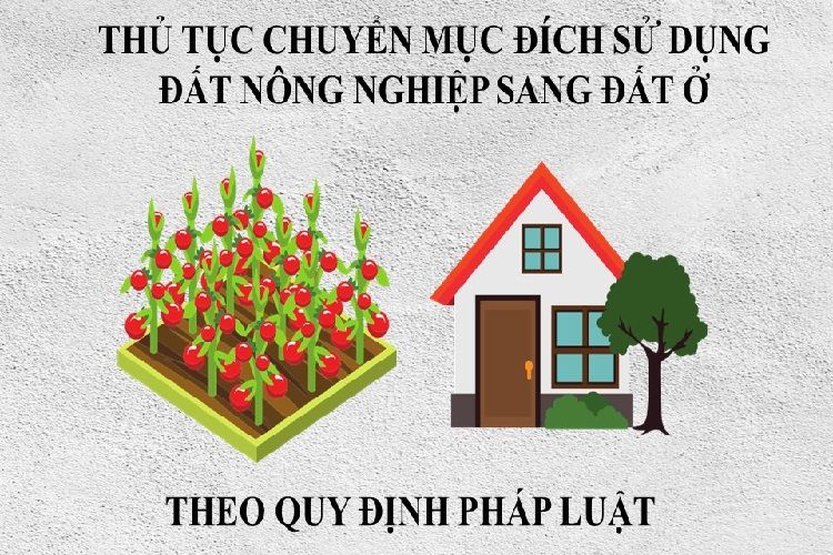 Điều kiện để chuyển đổi mục đích đất nông nghiệp sang đất thổ cư